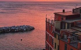 Pepita Di Rio